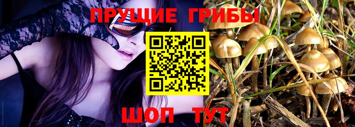 Галлюциногенные грибы ЛСД  Псилоцибиновые грибы Psilocybine cubensis  Лесосибирск  Вход с VPN 