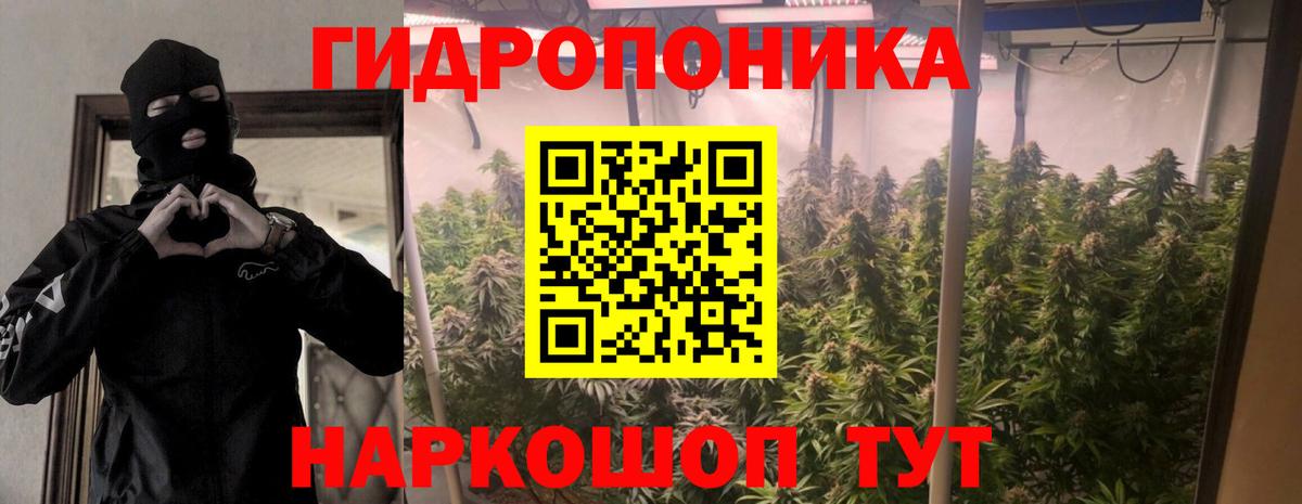 Канабис Amnesia Лесосибирск